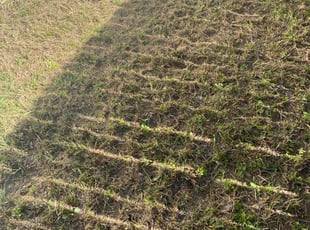 Leaf Removal by Donald Wolfert for Mathew M. in Jacksonville, FL