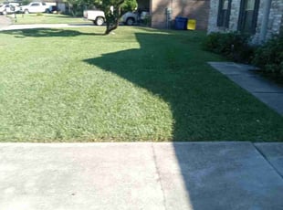 Brittany L.'s Lawn Maintenance service result