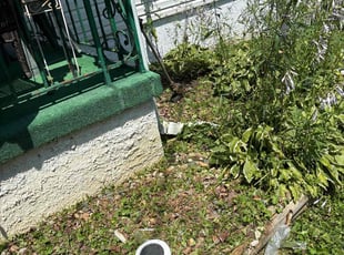 Weeding by Deverald Dillard for Arthur B. in Baltimore, MD