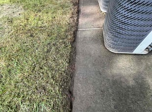Teri S.'s Grass Cutting service result