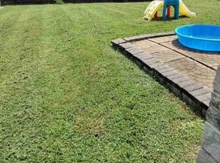 Pranav K.'s Lawn Maintenance service result