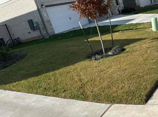 Khanada T.'s Lawn Service service result