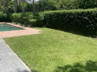 Susan P.'s Lawn Mowing Service service result