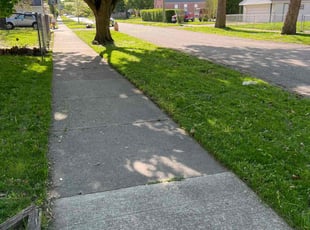 Khalid B.'s Grass Cutting service result