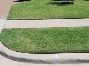 Rene B.'s Lawn Care service result