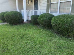 Bush Trimming by Rodney Rhone for Sheila G. in Irmo, SC