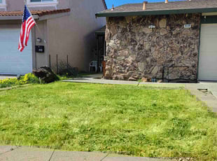 Wanda P.'s Lawn Service service result