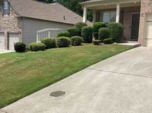 Bush Trimming by Carl Hunt for WILLIAM I. in Atlanta, GA