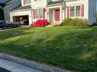 Russell M.'s Lawn Mowing service result