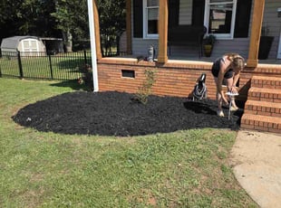 Landscaping by Kyle Bryant for DOINA V. in Easley, SC