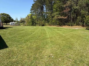 Sherly F.'s Lawn Care service result