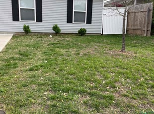 Abbi W.'s Lawn Mowing service result