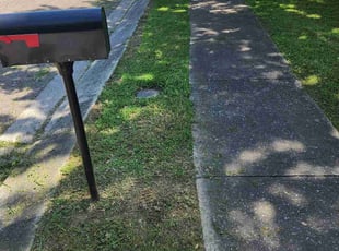 Yanne S.'s Lawn Service service result