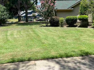 Bush Trimming by Jason Hughes for Michael K. in Savannah, GA