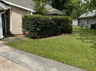 Shelia C.'s Lawn Mowing service result