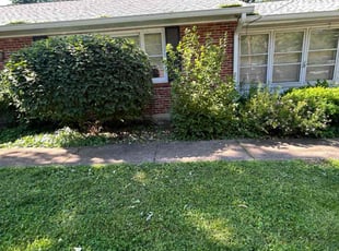 Bush Trimming by Thomas Clifford for Scott T. in Florissant, MO