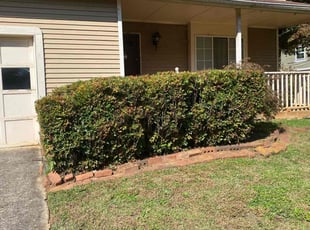 Bush Trimming by Conner Meadows for Trudi D. in Roswell, GA