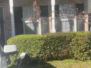Bush Trimming by Brian Cortes for John G. in Riverdale, GA