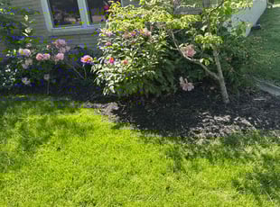 Weeding by Luis Contreras for William J. in Carmel, IN