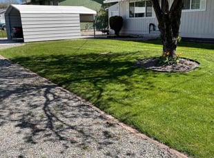 Rochelle H.'s Lawn Care service result