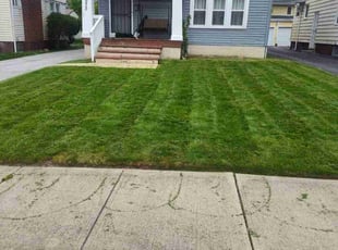 Peggy C.'s Lawn Mowing service result