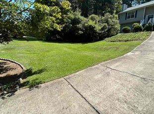 Justin J.'s Lawn Maintenance service result