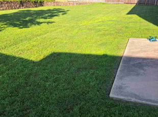 Roy H.'s Lawn Service service result