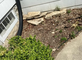 Bush Trimming by H S for Jack G. in West Milwaukee, WI