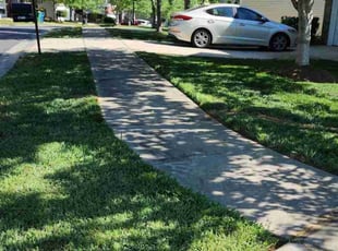 Sharon M.'s Yard Cutting service result