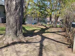 Leaf Removal by Natatia Frame for Erich S. in Saint Paul, MN