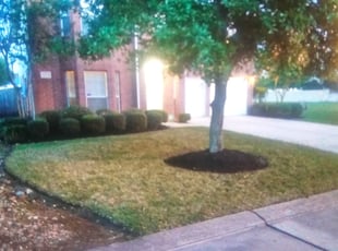 Cleanups by Dre Spencer for Amye G. in Humble, TX