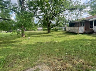 Andrea V.'s Lawn Care service result