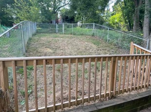 Marelys R.'s Lawn Service service result