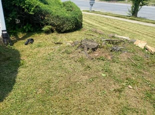 Weeding by James Small for Stephanie S. in Hokendauqua, PA