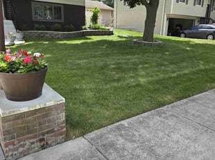 David C.'s Lawn Mowing service result