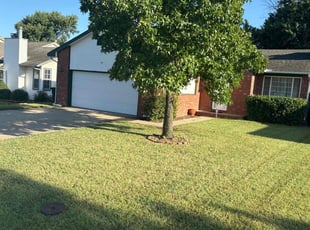 Calli T.'s Lawn Service service result