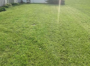 Beckie J.'s Grass Cutting service result