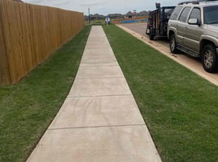 Aremo A.'s Lawn Mowing service result