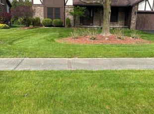 Jim K.'s Lawn Mowing service result
