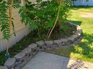 Bush Trimming by Richard Fuller for Emeric B. in Ypsilanti, MI