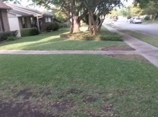 Bush Trimming by Pablo Miramontes for Howard K. in Dallas, TX