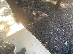 Leaf Removal by Dewayne Hopkins for Shannon D. in Baltimore, MD