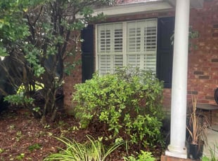 Bush Trimming by Nick Viebrock for Audrey C. in Charleston, SC
