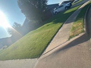 Lizette L.'s Grass Cutting service result