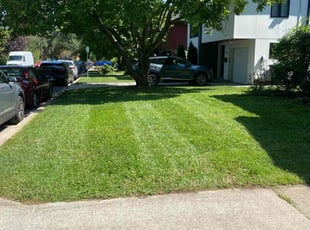 Arlyss j.'s Lawn Service service result