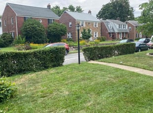 Bush Trimming by Melford Franklin for Cristina S. in Parkville, MD
