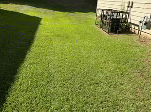 Eric G.'s Lawn Mowing service result