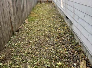 Cleanups by Vladislav Gulakov for Frank G. in Salem, OR