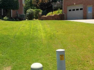 David L.'s Lawn Mowing service result