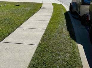 Erika C.'s Lawn Mowing service result
